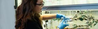 A student wearing safety glasses in a lab pours liquid from a beaker into a petri dish 